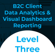 Load image into Gallery viewer, B2C Customer Data Analytics &amp; Visual Dashboard Reporting - Best