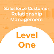 Load image into Gallery viewer, Salesforce Customer Relationship Management-Basic