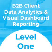 Load image into Gallery viewer, B2B Client Data Analytics &amp; Visual Dashboard Reporting - Good
