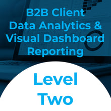 Load image into Gallery viewer, B2B Client Data Analytics &amp; Visual Dashboard Reporting - Better