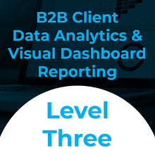 Load image into Gallery viewer, B2B Client Data Analytics &amp; Visual Dashboard Reporting - Best