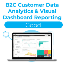 Load image into Gallery viewer, B2C Customer Data Analytics &amp; Visual Dashboard Reporting - Good