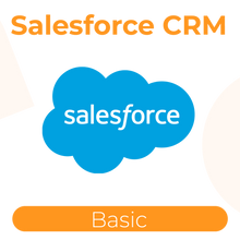 Load image into Gallery viewer, Salesforce Customer Relationship Management-Basic