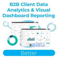 Load image into Gallery viewer, B2B Client Data Analytics &amp; Visual Dashboard Reporting - Better
