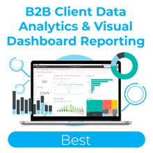 Load image into Gallery viewer, B2B Client Data Analytics &amp; Visual Dashboard Reporting - Best