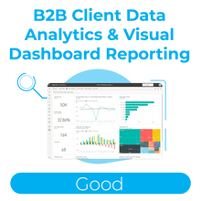Load image into Gallery viewer, B2B Client Data Analytics &amp; Visual Dashboard Reporting - Good