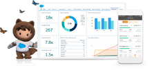 Load image into Gallery viewer, Salesforce Customer Relationship Management-Basic